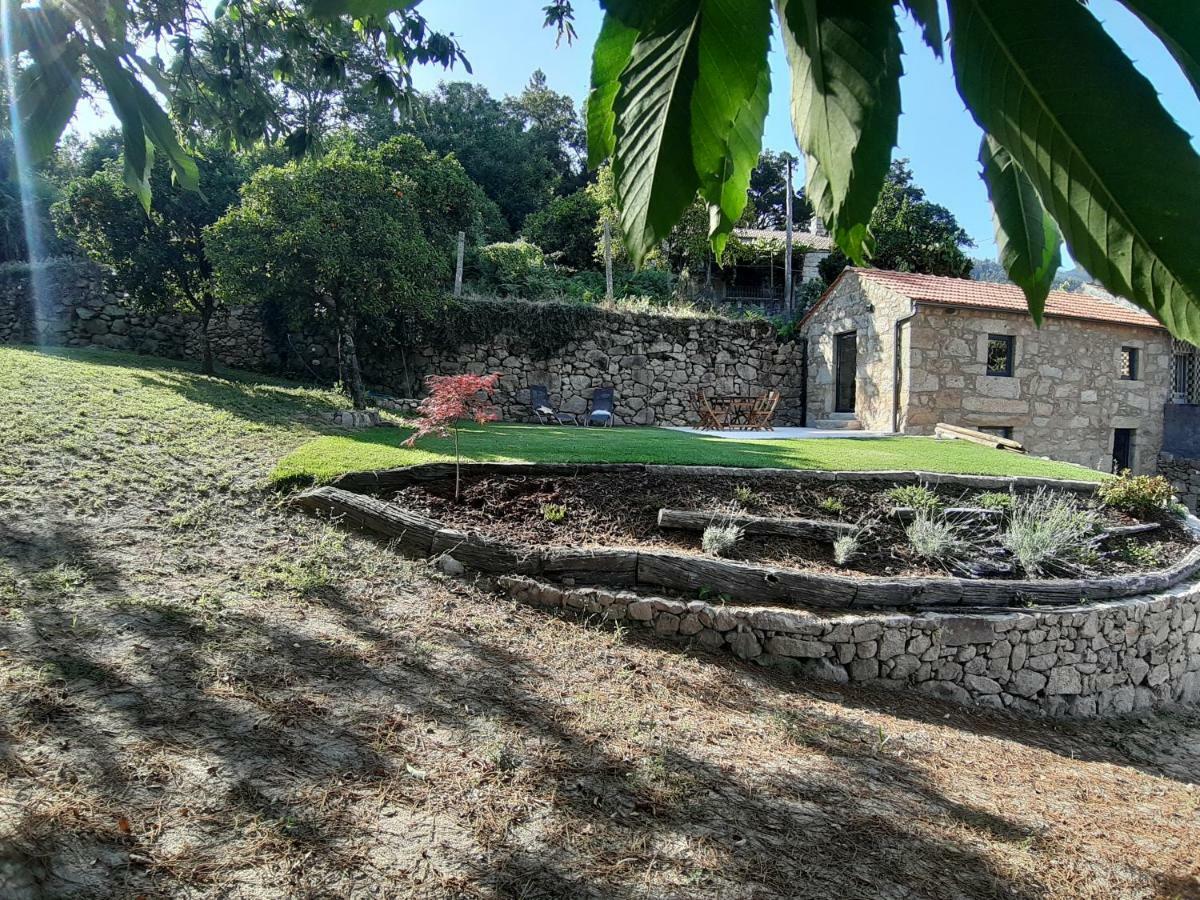 River House Sejaes Oliveira de Frades Extérieur photo